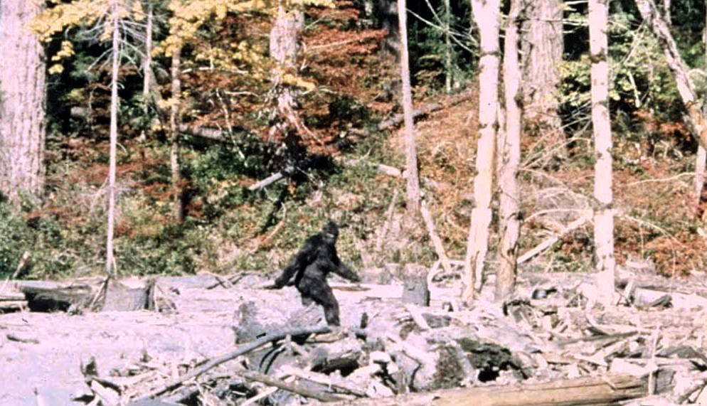 Frame 352 of the Patterson-Gimlin film, filmed October 20, 1967 at Bluff Creek, California.